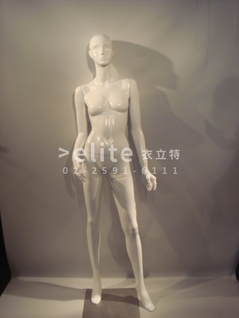 E2-029 數量1