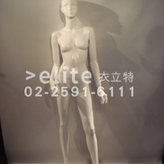 E2-029 數量1